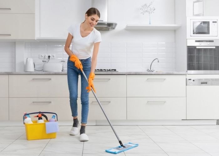 cleaning cost calculator for wordpress